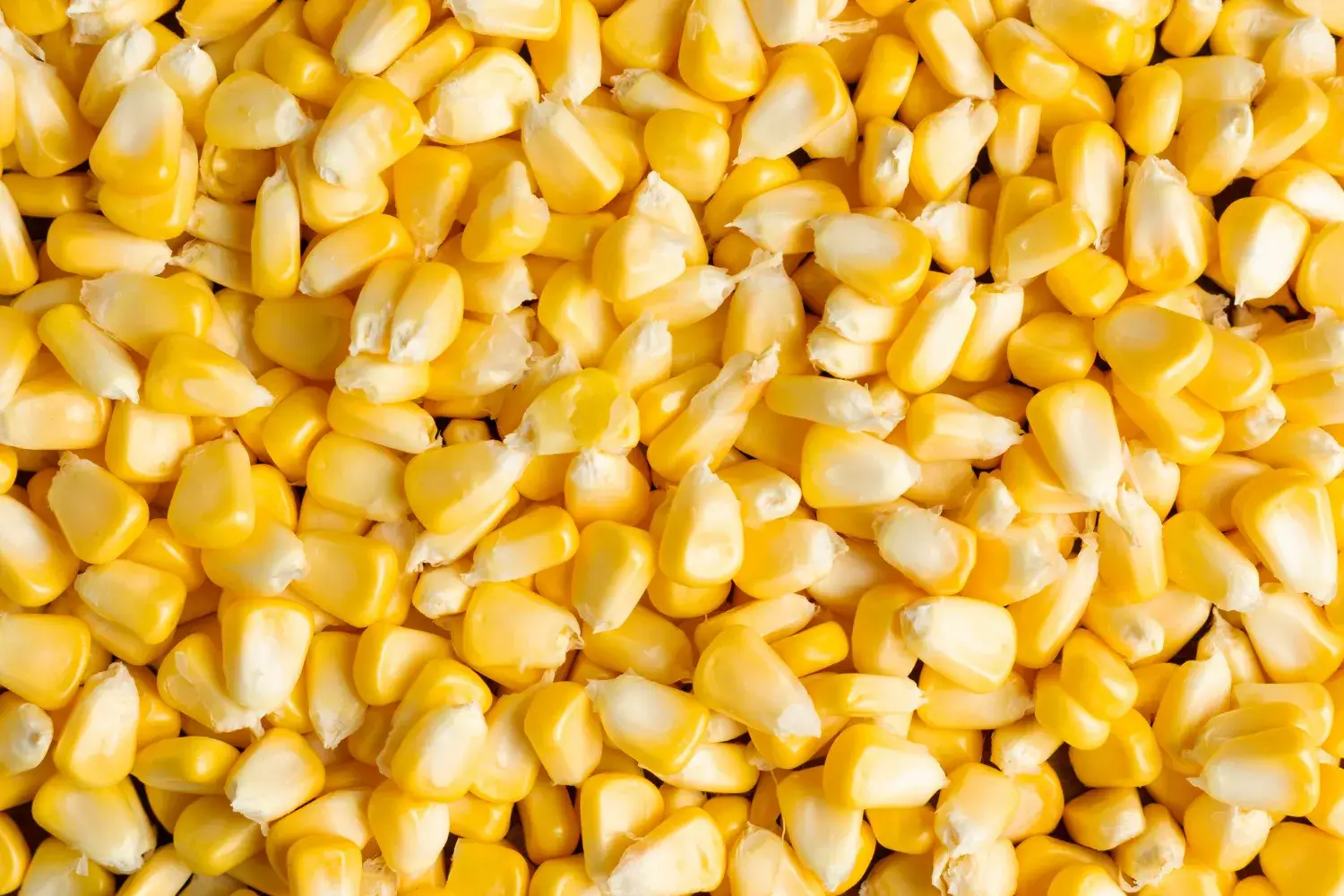 Corn